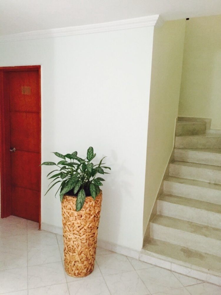 Hôtel Casa Portico à Medellín Extérieur photo